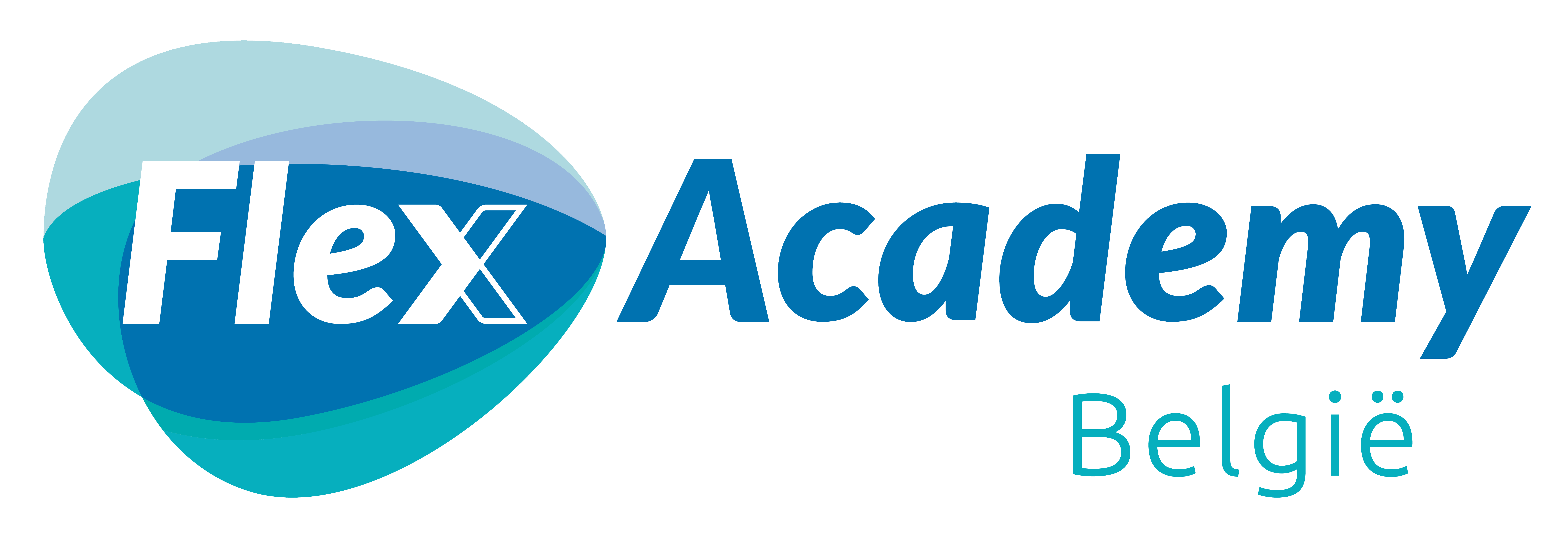 Flex Academy België