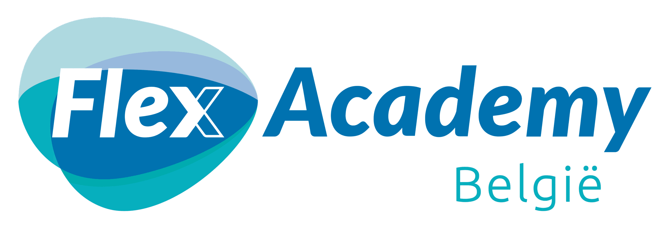Flex Academy België logo